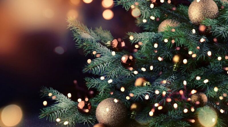 елки в странах Центральной Азии