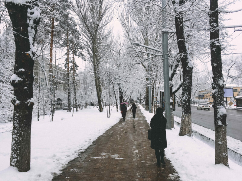 В канун Старого Нового года Алматы засыпало снегом В канун Старого Нового года Алматы засыпало снегом