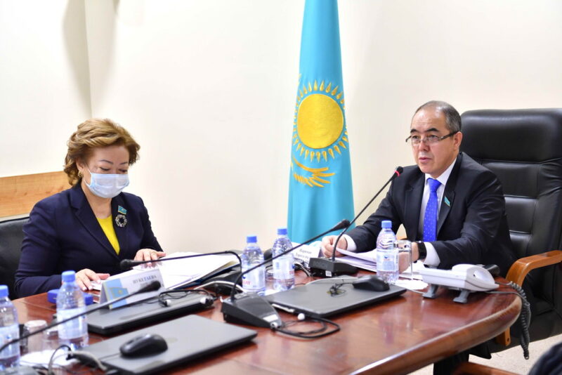 В Сенате обсудили концепцию проекта Социального кодекса Казахстана