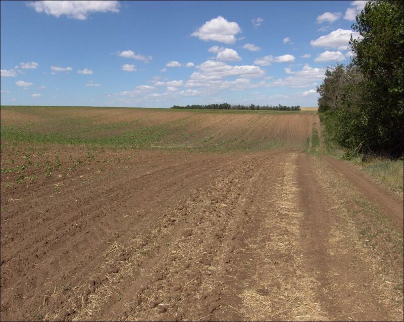 В Атырау земельный участок продали за 12 тыс. тенге