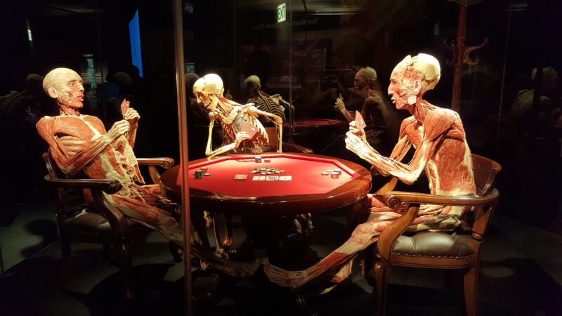 В Москве проходит скандальная выставка Body Worlds