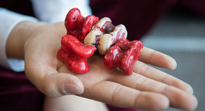 В казахстанских школах появятся два новых предмета