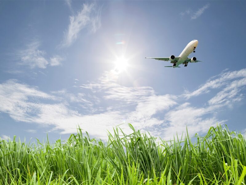 Россия может создать цифровой проездной для авиаперелетов в рамках ЕАЭС Россия может создать цифровой проездной для авиаперелетов в рамках ЕАЭС