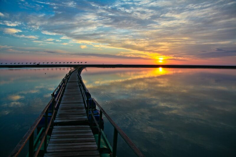 Чиновники решили осушить часть Алаколя