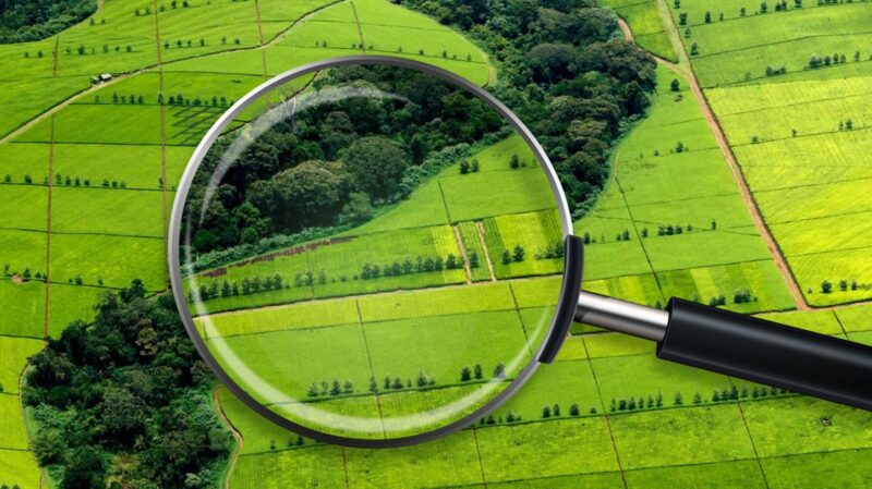 Сколько земли можно получить в Казахстане бесплатно?