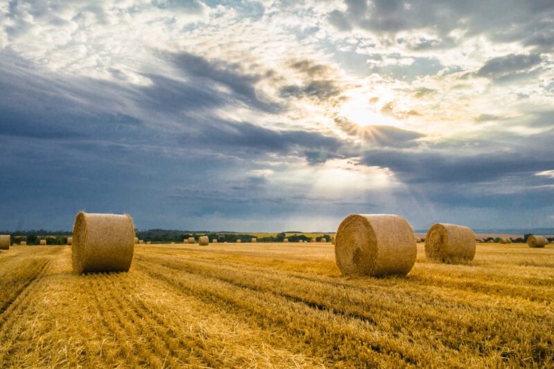 За использованием сельхозземель в Казахстане теперь следят из космоса