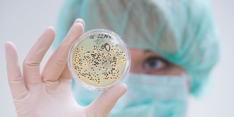 Индийская "черная плесень" уже добралась до России