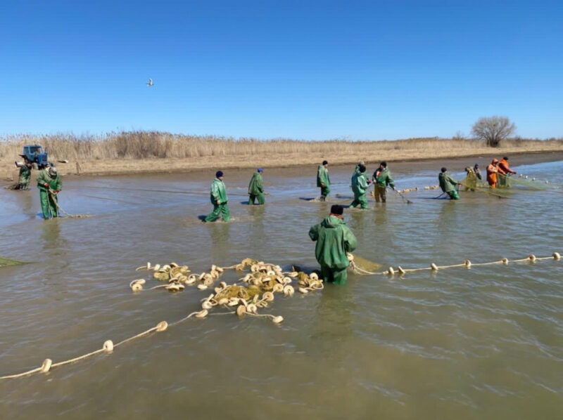В Казахстане усилят борьбу с браконьерством В Казахстане усилят борьбу с браконьерством