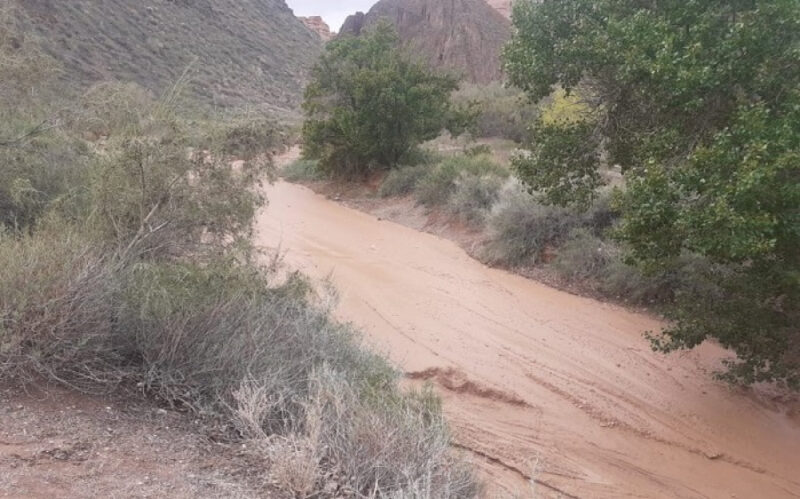 Во время селя в Чарынском каньоне погибли преподаватель и ученица из Алматы Во время селя в Чарынском каньоне погибли преподаватель и ученица из Алматы