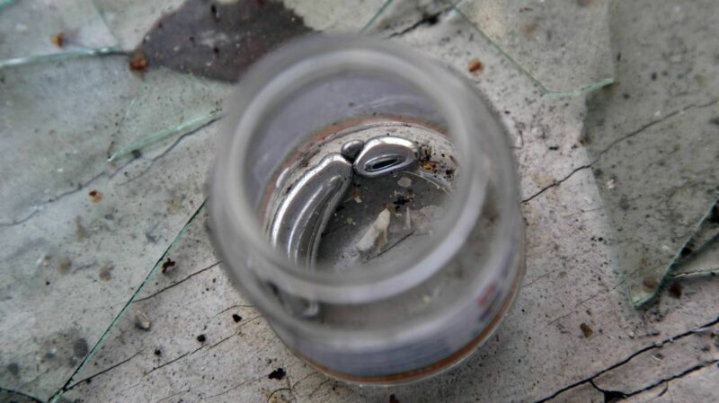 В Уральске введут режим ЧС из-за возможного разлива ртути В Уральске введут режим ЧС из-за возможного разлива ртути