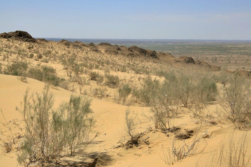 Геоэкологическая катастрофа: Узбекистан превращается в пустыню Геоэкологическая катастрофа: Узбекистан превращается в пустыню