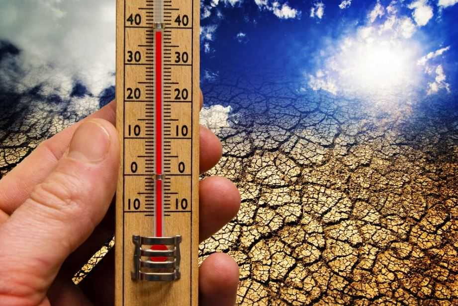 О наступлении экстремальной жары предупредили ученые О наступлении экстремальной жары предупредили ученые