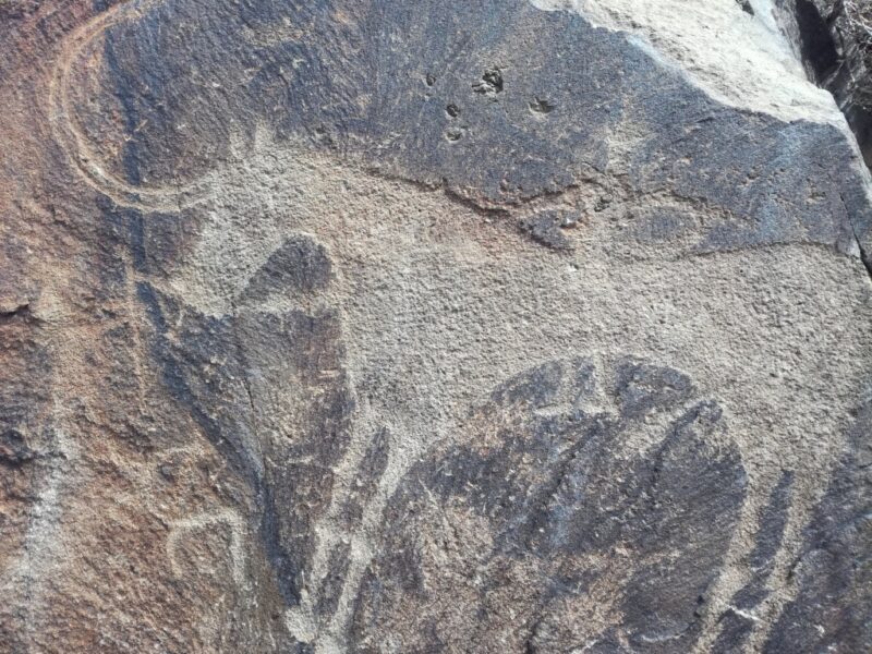 Петроглифы Карелии ЮНЕСКО включило в список Всемирного наследия, а в Казахстане их превращали в щебень Петроглифы Карелии ЮНЕСКО включило в список Всемирного наследия, а в Казахстане их превращали в щебень