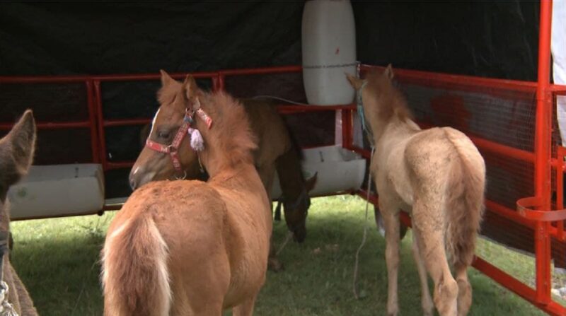 Мейірімділік жаса, сонда мейірім көресің!
