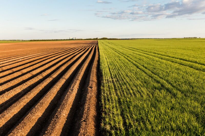 Какие изменения появились в законе о земельных отношениях?