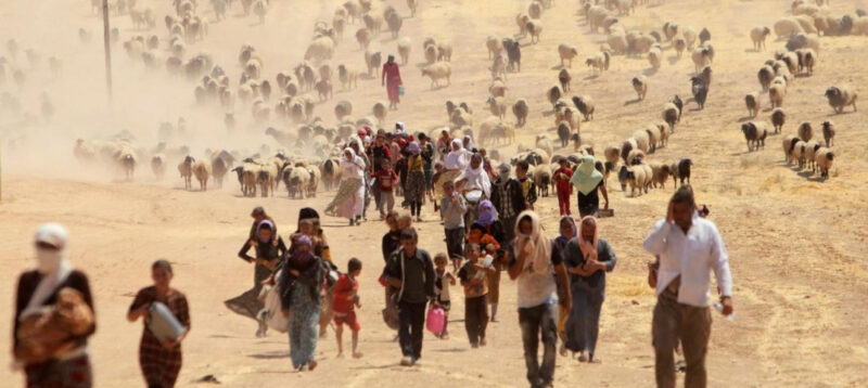 Размещение афганцев в странах ЦА: троянский конь или фобия?