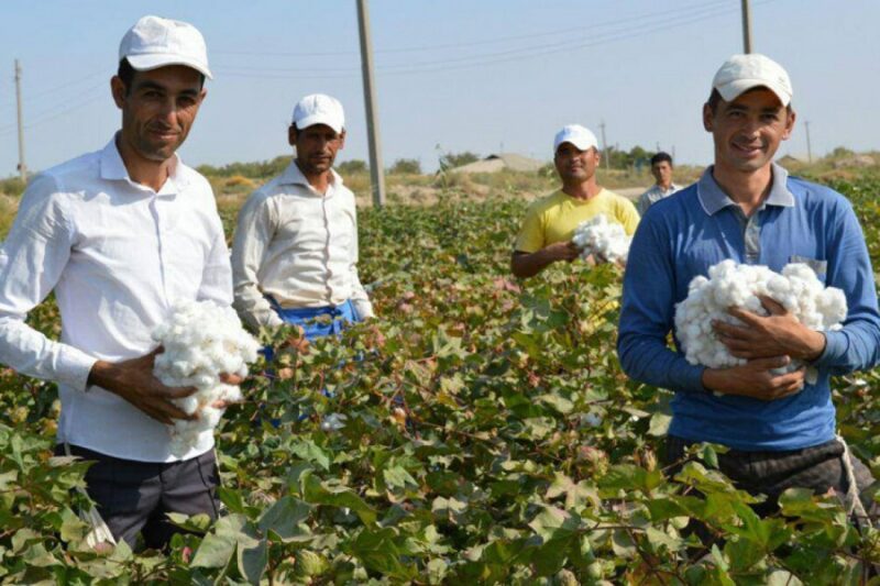 Узбекистан может получить $750 миллионов из резерва МВФ