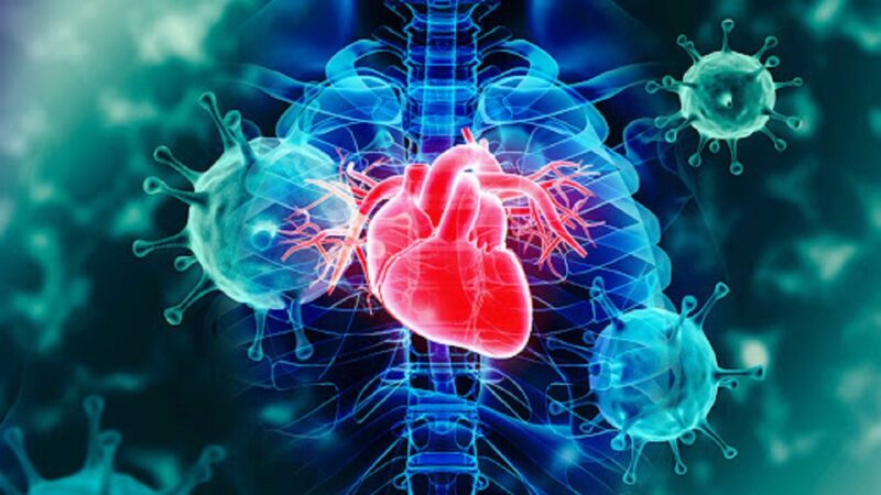 Американские ученые отнесли коронавирус к сосудистым заболеваниям