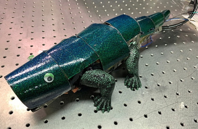 Ученые создали робота-хамелеона Ученые создали робота-хамелеона