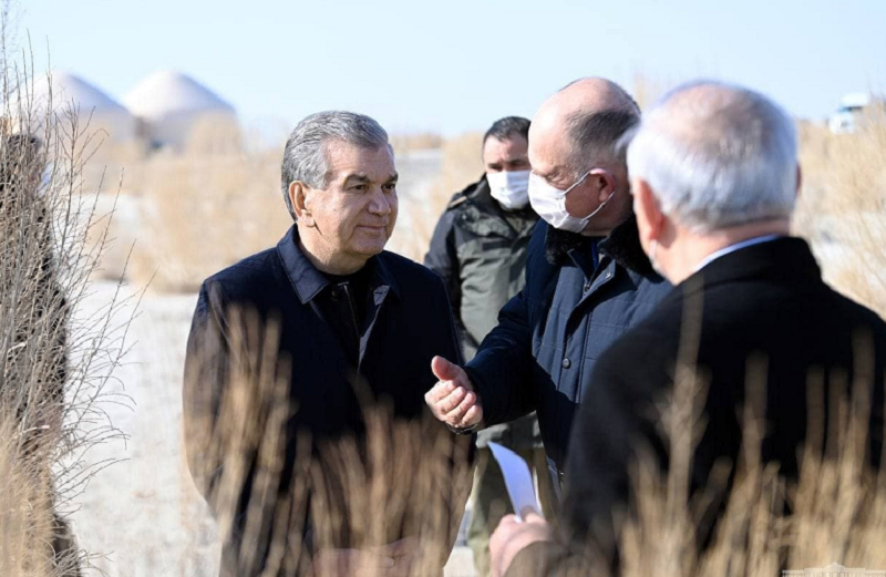 Президент Узбекистана ознакомился с восстановительными работами на Арале