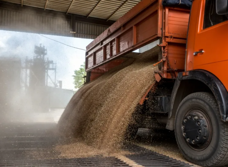 "Серый" импорт зерна из РФ – угроза рынкам Центральной Азии