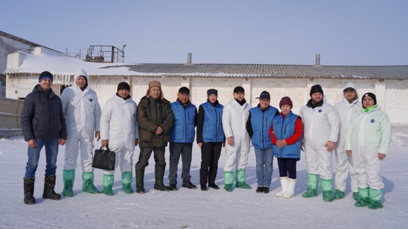 Необычный эксперимент по генетике животных провели в Казахстане