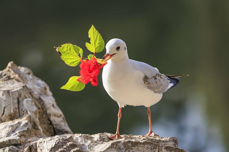 Прогноз погоды на 22 апреля в столицах Центральной Азии
