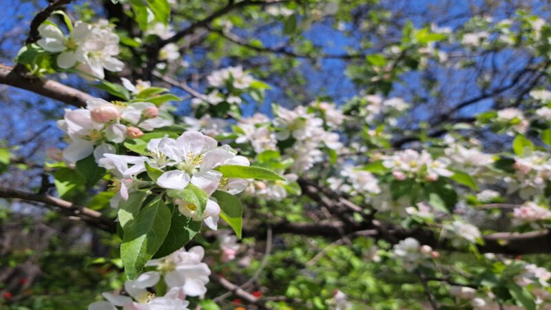 Прогноз погоды на 22 апреля в столицах Центральной Азии