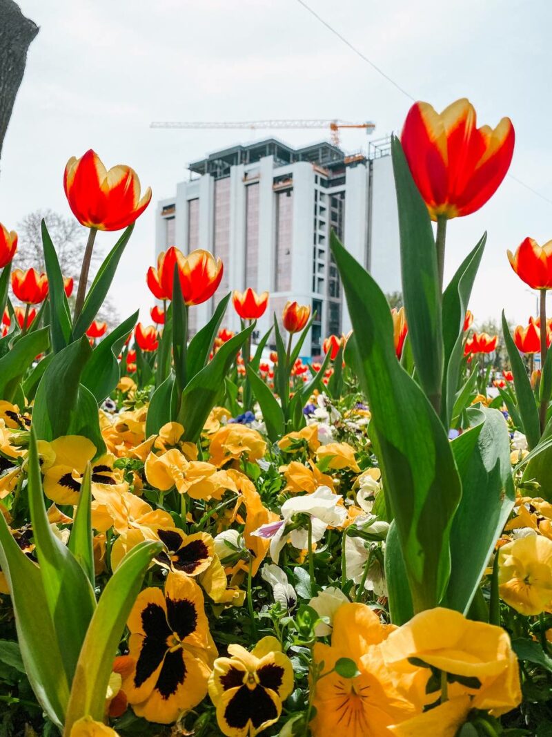 Прогноз погоды на 18 апреля в столицах Центральной Азии