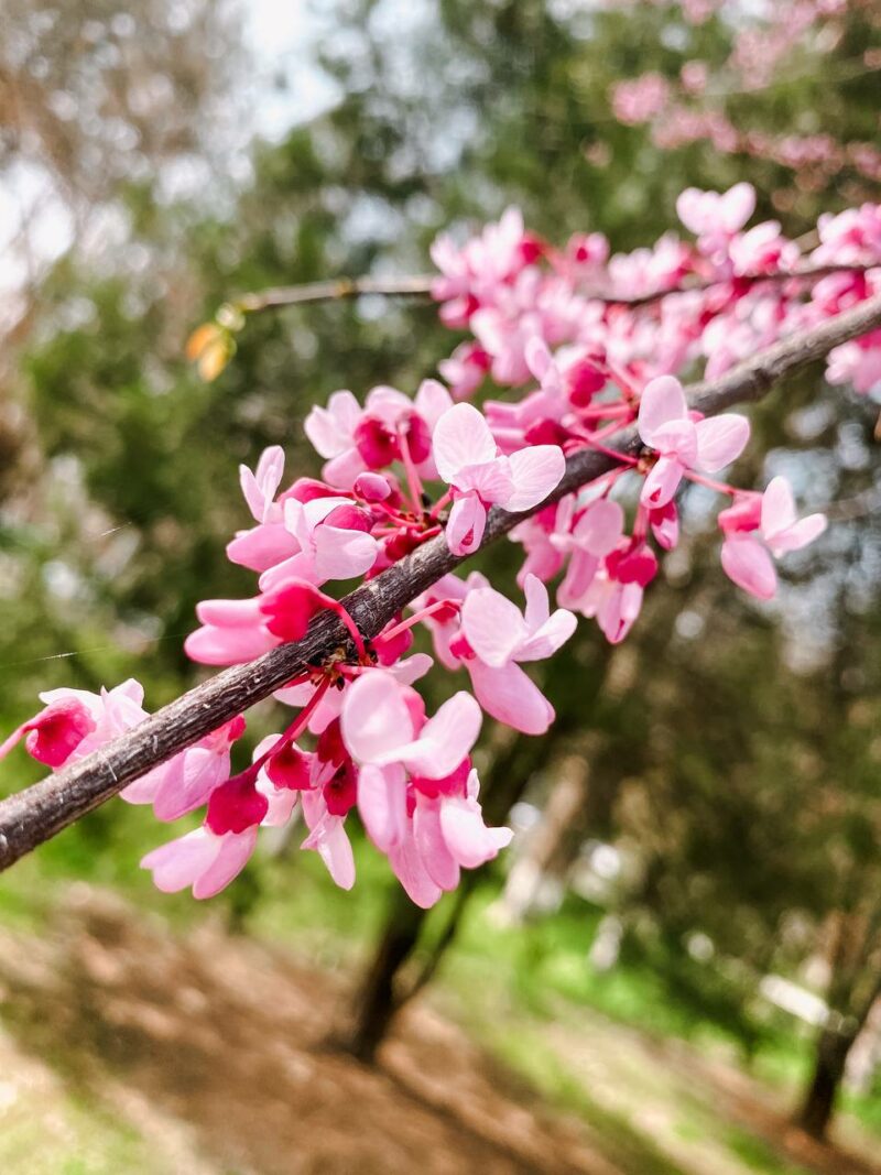 Прогноз погоды на 13 апреля в столицах Центральной Азии