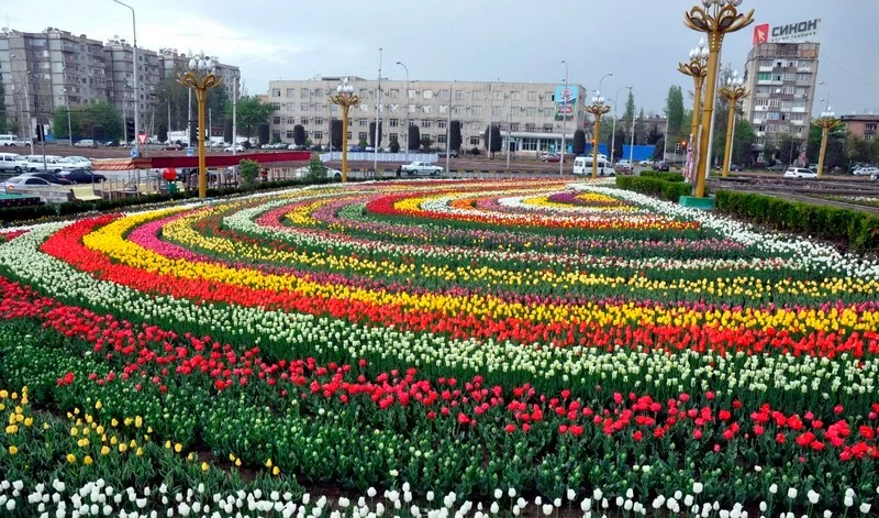 Прогноз погоды на 30 мая в столицах Центральной Азии