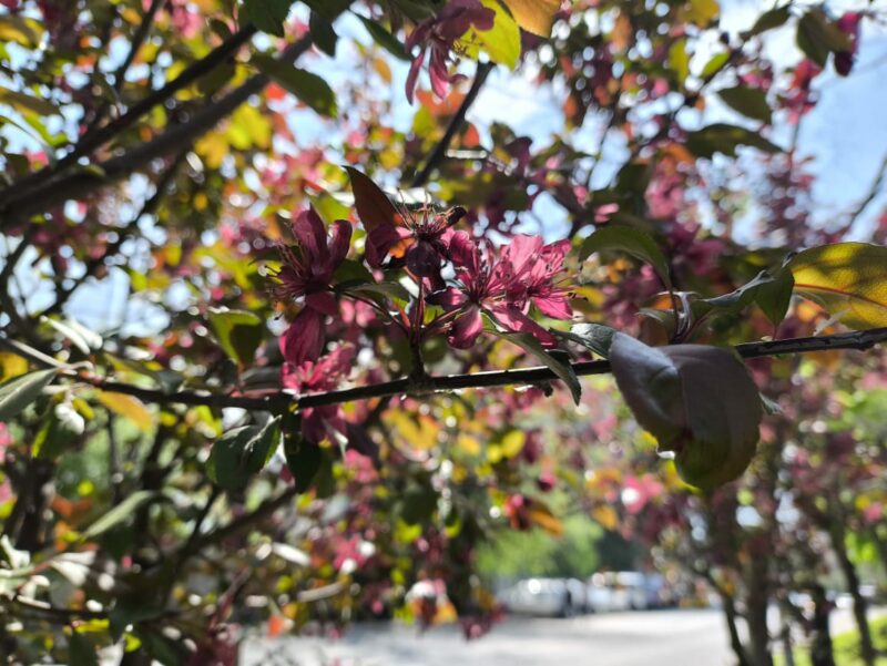 Прогноз погоды на 02 мая в столицах Центральной Азии