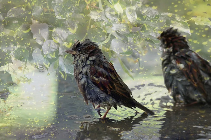 Прогноз погоды на 20 мая в столицах Центральной Азии