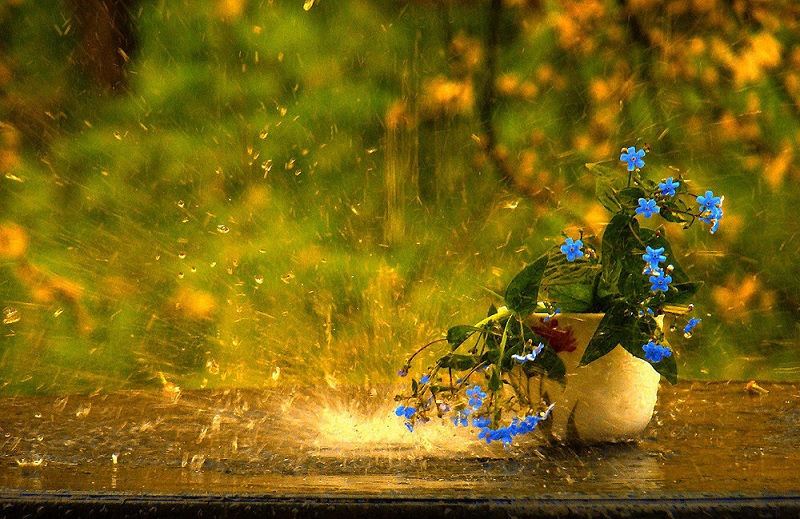 Прогноз погоды на 17 мая в столицах Центральной Азии