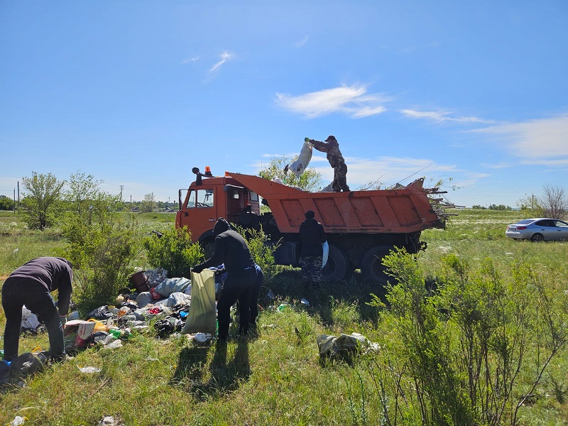 Әулиекөл ауданы орман-саябақ аймағын және оған іргелес аумақты тазарту