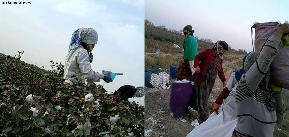 Госдеп США "отчитал" власти Туркменистана за торговлю людьми Госдеп США "отчитал" власти Туркменистана за торговлю людьми