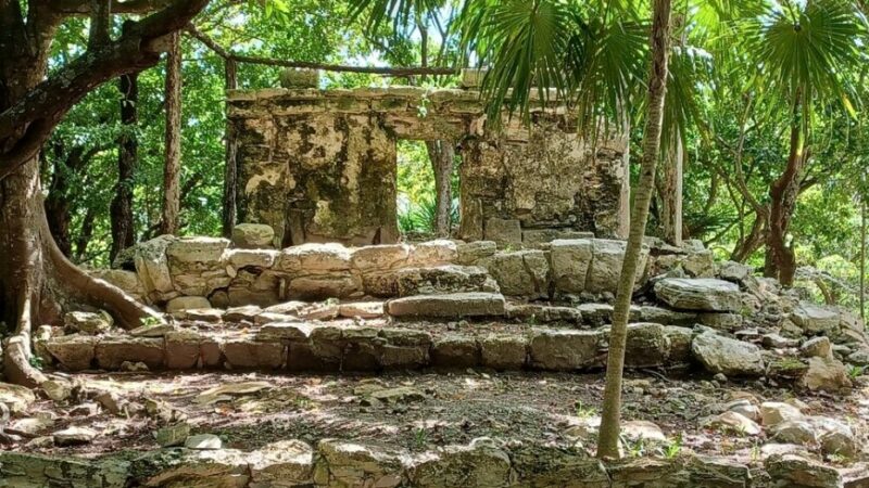 Археологи случайно нашли затерянный в Мексике город майа Археологи случайно нашли затерянный в Мексике город майа