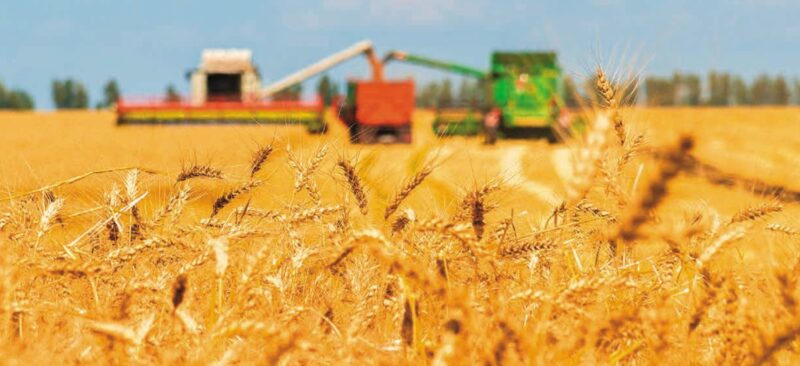 Центральная Азия: опасности для продовольственной безопасности