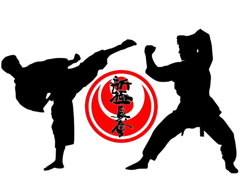 Дух, сила, мастерство: городской чемпионат по каратэ пройдет в Алматы Дух, сила, мастерство: городской чемпионат по каратэ пройдет в Алматы