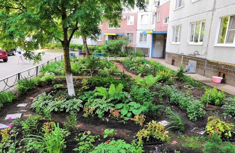 Ноу-хау от Мирзиёева: что придумали власти Узбекистана для увеличения овощей на экспорт Ноу-хау от Мирзиёева: что придумали власти Узбекистана для увеличения овощей на экспорт