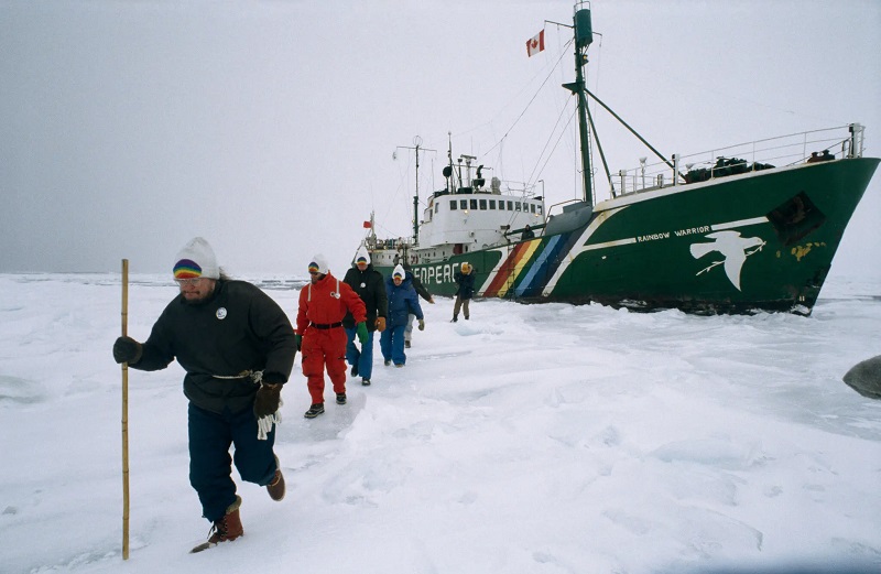 Greenpeace под угрозой: они защищали китов – кто теперь спасет их