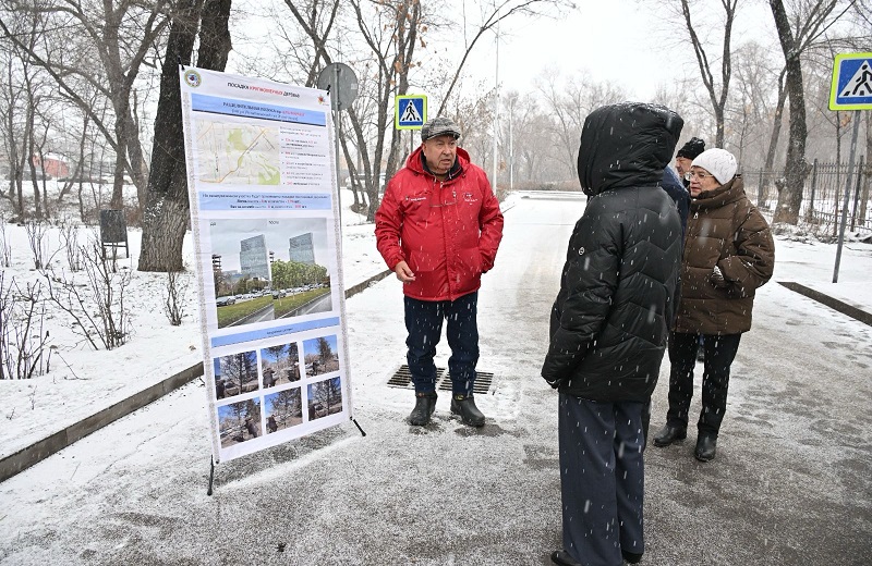 Алматы становится зеленее: крупномеры заменят аварийные деревья