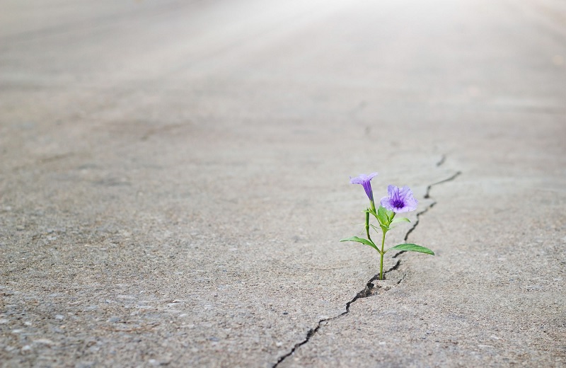 Центральная Азия и "мягкая власть": почему регион не в лидерах глобального рейтинга Центральная Азия и "мягкая власть": почему регион не в лидерах глобального рейтинга