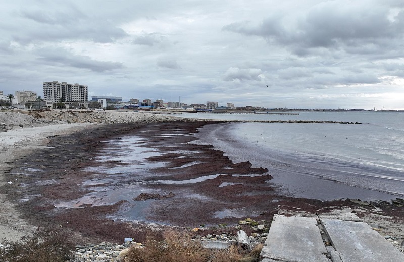 Why Is There Still No Clear Answer to the Question: "How Can the Caspian Sea Be Saved?"