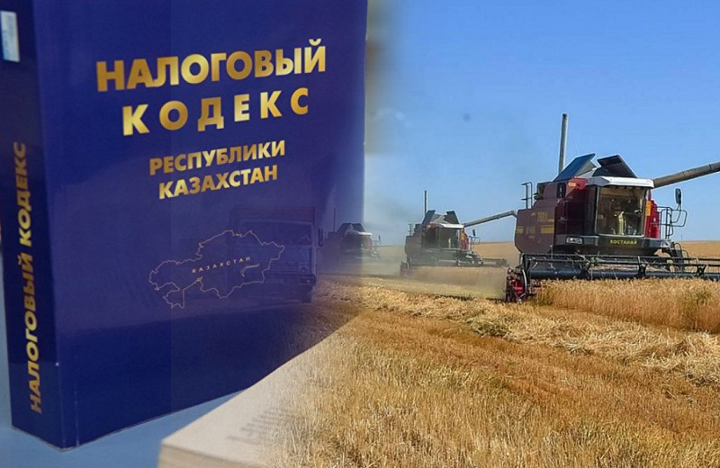 Упрощение налогового администрирования: как изменится спецрежим для аграриев в Казахстане Упрощение налогового администрирования: как изменится спецрежим для аграриев в Казахстане