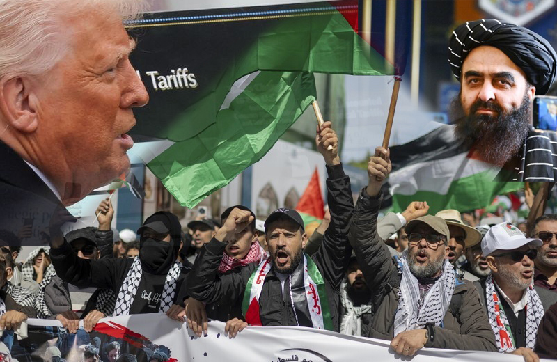 Обзор мировой политики: торговые войны, протесты и дипломатия