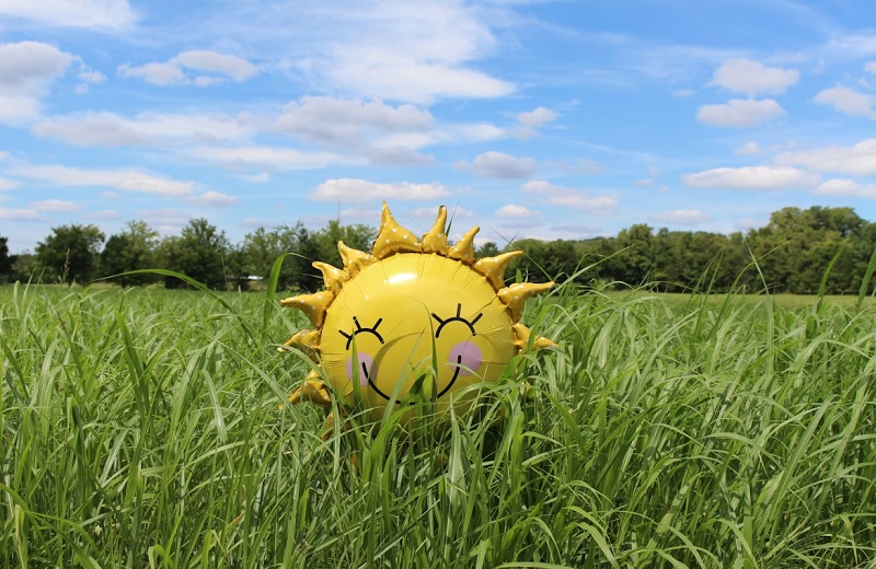 Иммунитет на автопилоте: почему мы болеем даже летом и как этого избежать?