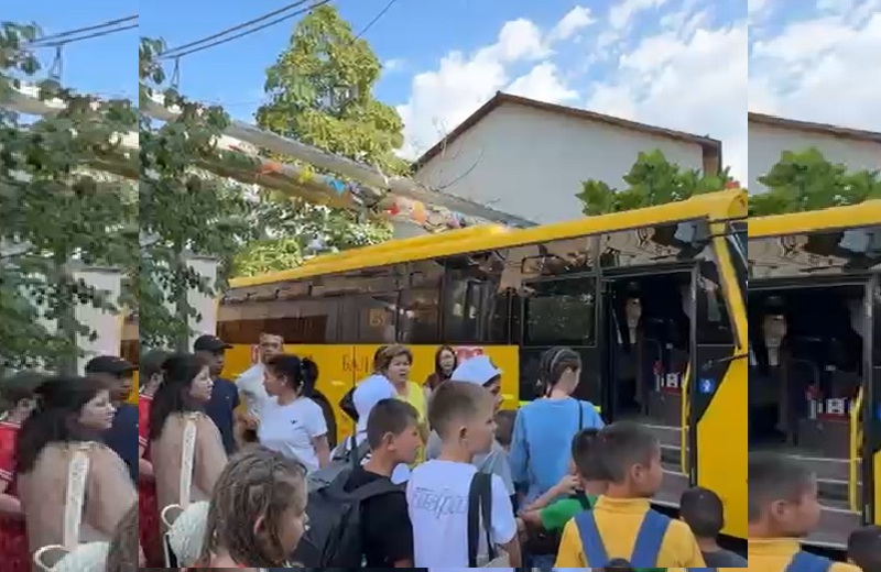 Дети не будут переезжать. Детский дом "Баганашыл" в Алматы, сохранен