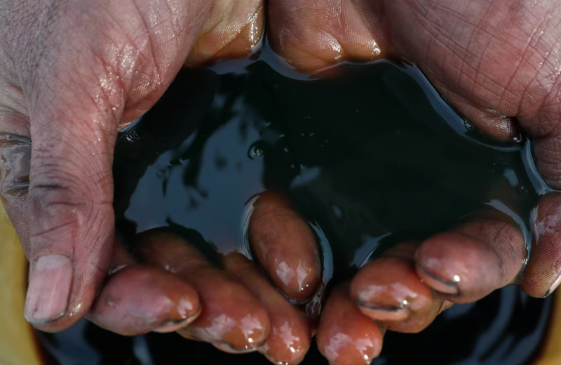 Цены на нефть: рынок реагирует на 50-процентные пошлины США Цены на нефть