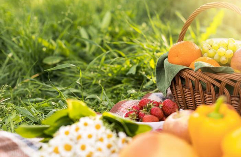 питание летом